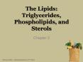 The Lipids: Triglycerides, Phospholipids, and Sterols PowerPoint PPT Presentation