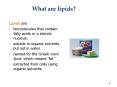 What are lipids? PowerPoint PPT Presentation