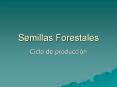 Semillas Forestales PowerPoint PPT Presentation