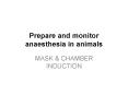 Prepare and monitor anaesthesia in animals PowerPoint PPT Presentation