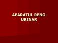 APARATUL RENO-URINAR PowerPoint PPT Presentation