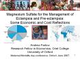 Magnesium Sulfate for the Management of Eclampsia and Pre-eclampsia: Some Economic and Cost Reflections PowerPoint PPT Presentation