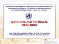 UNDP/UNFPA/WHO/WORLD BANK Special Programme of Research, Development and Research Training in Human Reproduction Development of Reproductive Health and Research    MATERNAL AND PERINATAL RESEARCH   Jos PowerPoint PPT Presentation