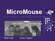 MicroMouse