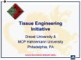 Tissue Engineering Initiative PowerPoint PPT Presentation