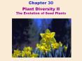 Plant Diversity II The Evolution of Seed Plants PowerPoint PPT Presentation