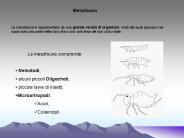Diapositiva 1