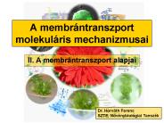 A membr