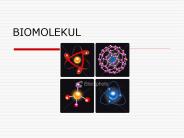 BIOMOLEKUL