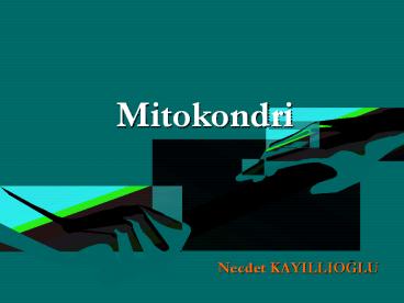 Mitokondri