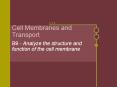 Cell Membranes and Transport PowerPoint PPT Presentation
