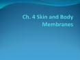 Ch. 4 Skin and Body Membranes PowerPoint PPT Presentation