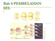 Bab 4 PEMBELAHAN SEL