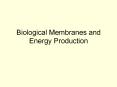 Biological Membranes and Energy Production PowerPoint PPT Presentation