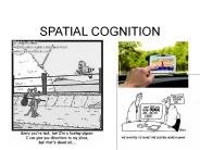 SPATIAL COGNITION