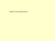 Nerve activates contraction