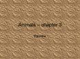 Animals  PowerPoint PPT Presentation