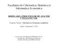 Facultatea de Cibernetica, Statistica si Informatica Economica PowerPoint PPT Presentation