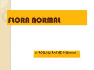FLORA NORMAL