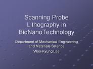 Scanning Probe Lithography in BioNanoTechnology
