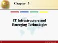 IT Infrastructure and Emerging Technologies PowerPoint PPT Presentation