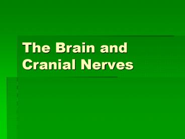 The Brain and Cranial Nerves