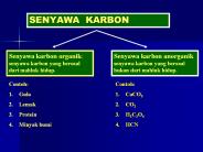 SENYAWA KARBON