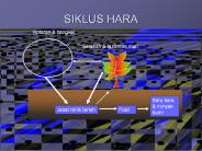 SIKLUS HARA