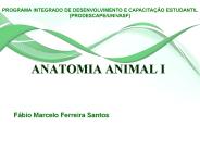 ANATOMIA ANIMAL I