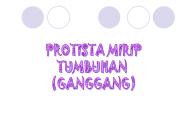PROTISTA MIRIP