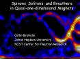 Spinons, Solitons, and Breathers in Quasi-one-dimensional Magnets PowerPoint PPT Presentation