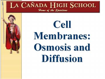 Cell Membranes: Osmosis and Diffusion
