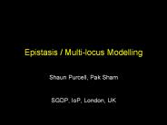 Epistasis / Multi-locus Modelling