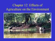 Chapter 12: Effects of Agriculture on the Environment