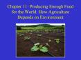 Chapter 11: Producing Enough Food for the World: How Agriculture Depends on Environment PowerPoint PPT Presentation