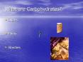 What are Carbohydrates? PowerPoint PPT Presentation