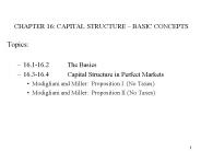 CHAPTER 16: CAPITAL STRUCTURE 