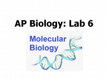 AP Biology: Lab 6