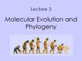 Lecture 3 Molecular Evolution and Phylogeny PowerPoint PPT Presentation