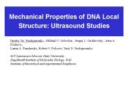 Mechanical Properties of DNA Local Structure: Ultrasound Studies
