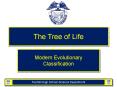 The Tree of Life PowerPoint PPT Presentation