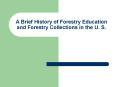 A Brief History of Forestry Education and Forestry Collections in the U. S. PowerPoint PPT Presentation