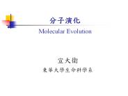 ????   Molecular Evolution
