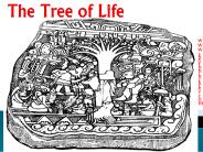 The Tree of Life