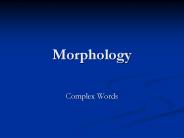 Morphology