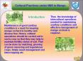Integrated nutrient management in mango PowerPoint PPT Presentation
