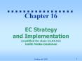 Chapter 16 EC Strategy and Implementation (modified for class 16.04.02) Judith Molka-Danielsen PowerPoint PPT Presentation