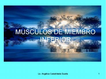 MUSCULOS DE MIEMBRO INFERIOR