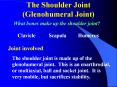 The Shoulder Joint (Glenohumeral Joint) PowerPoint PPT Presentation