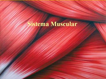 Sistema Muscular
